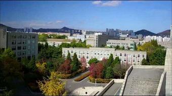 大连海霸大学最新爆料事件,校园事件真相揭秘